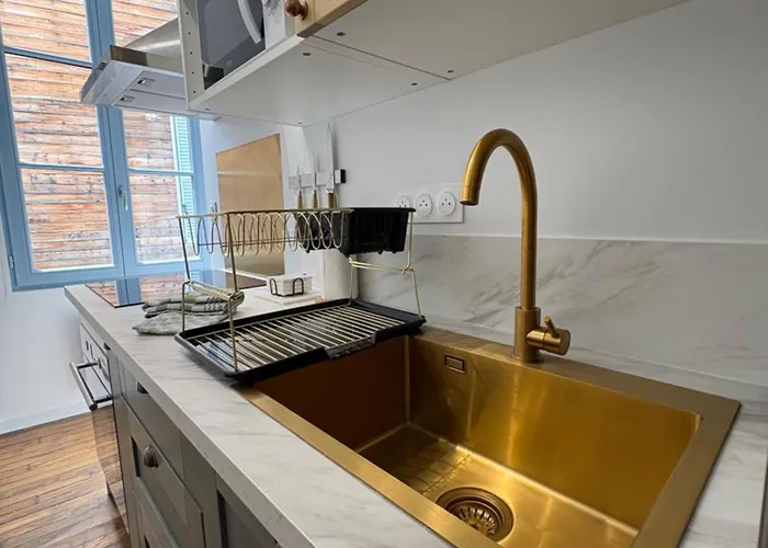 La Cour Des Murmures - Logis D'exception - Daire Troyes